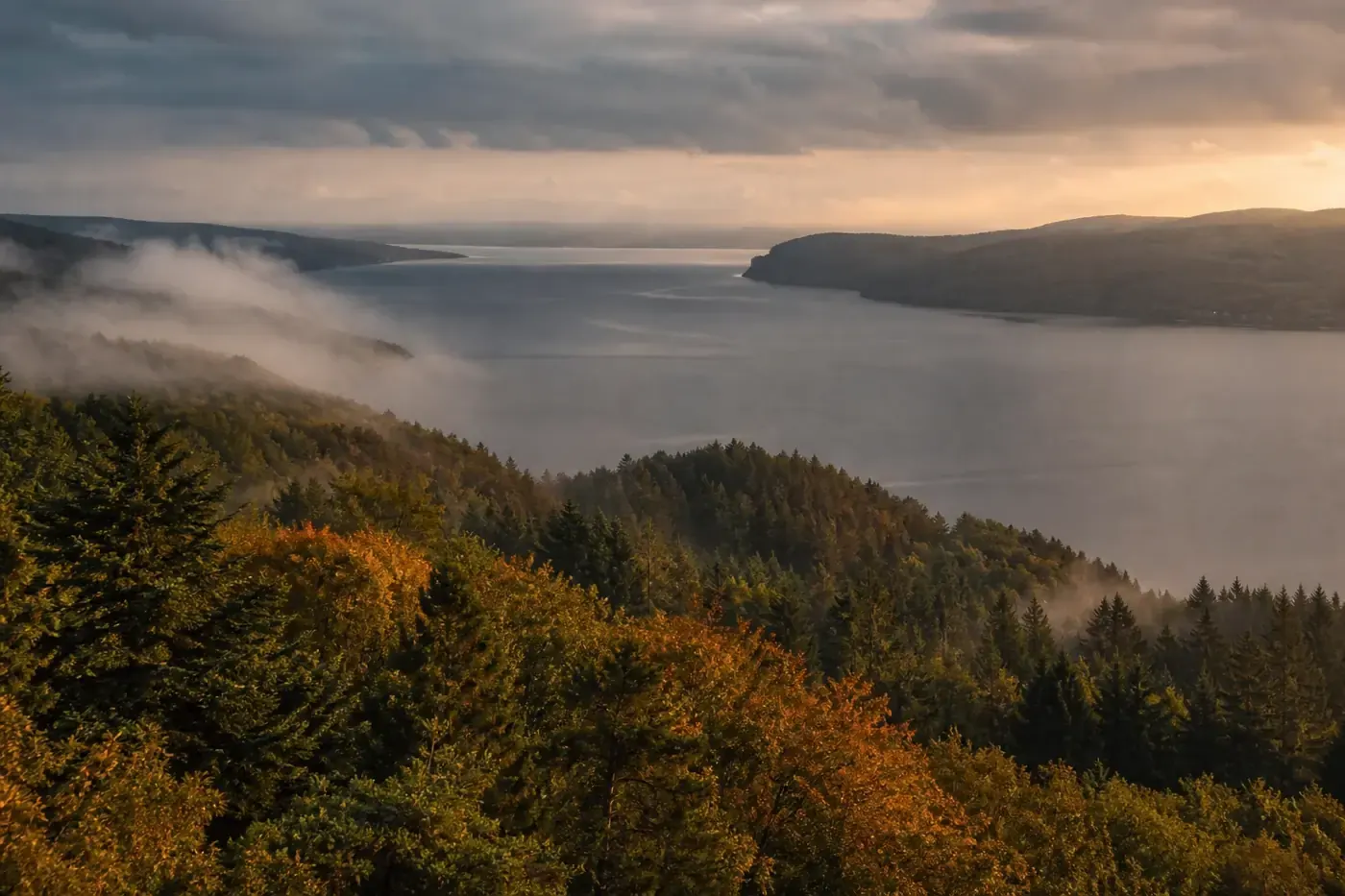 Editorial forest ridge above Vejle Fjord